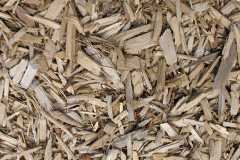 biomass boilers Rendcomb